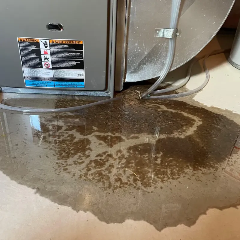 Appliance Leak Cleanup in New Hartford, NY